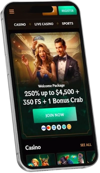 Online casino mobile app